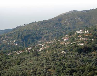 Μειοδότης για λιθόστρωτο στο Μαχαλά της Αλαγονίας