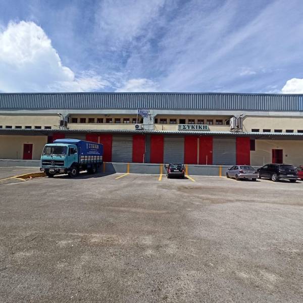 ΣΥΚΙΚΗ: Μικρή αύξηση στην τιμή των σύκων (βίντεο)