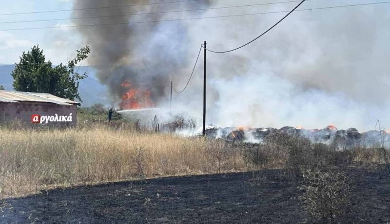 Φωτιά στη Νέα Κίο, κοντά σε σπίτια (βίντεο)