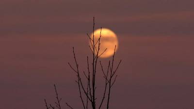 Εκδηλώσεις για την αυγουστιάτικη Πανσέληνο