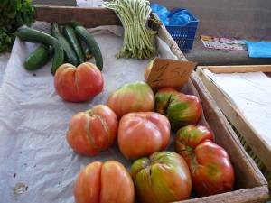 Ντομάτες Αλαγονίας: Κακομούτσουνες και πεντανόστιμες