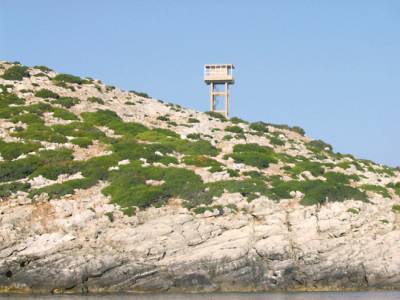 Καφαντάρης κατά πεδίου βολής στη Σχίζα