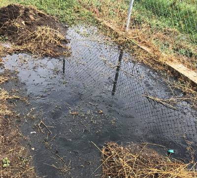 Μελιγαλάς: Ζημιά από απόβλητα σε αμπέλια του Φίλιππου Μπάμη