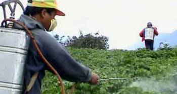 Δωρεάν προγράμματα από τον ΕΛΓΟ «Δήμητρα» για τη χρήση γεωργικών φαρμάκων