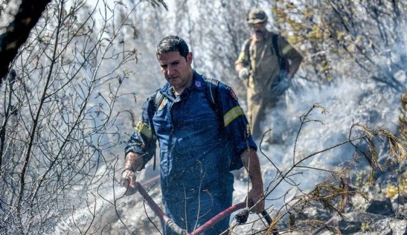 Τις 39 έφτασαν σήμερα οι φωτιές σε δασικές εκτάσεις (βίντεο)
