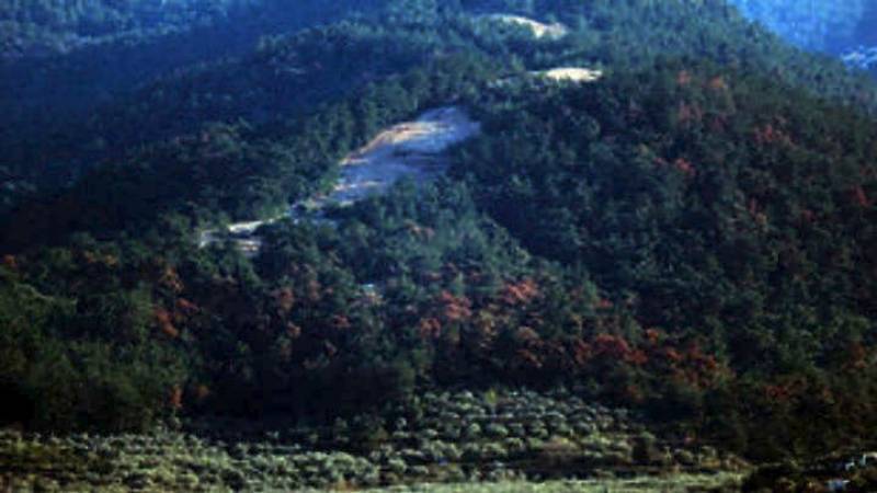 Φάμελλος: Η παράμετρος της κλιματικής αλλαγής είναι απαραίτητη στις πολιτικές όλων των τομέων