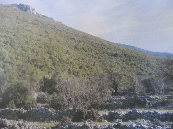 Αναβλήθηκε η συζήτηση για λατομείο στην Πολιανή