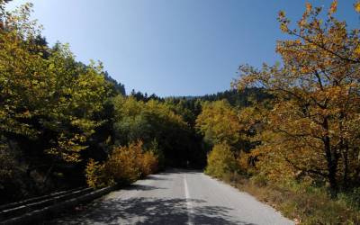 Η "Πελοπόννησος Πρώτα" κατά Γόντικα για τους χάρτες