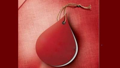 Σε Λαμπαδηδρομία Εθελοντών η Υπηρεσία Αιμοδοσίας του Νοσοκομείου Καλαμάτας