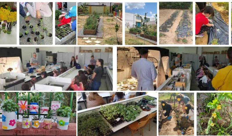 Μεσσηνία: Δράση για ανάδειξη παραδοσιακών ποικιλιών λαχανικών