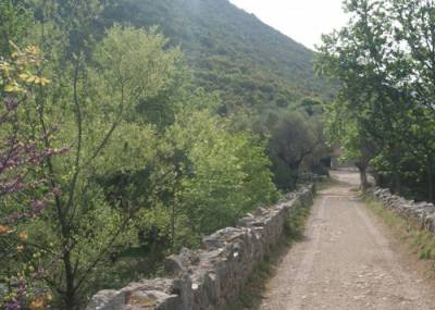 Ανάπλαση μονοπατιών της Νέδουσας