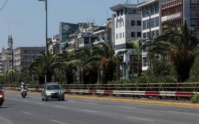 300 φοίνικες φυτεύτηκαν στη Λεωφόρο Συγγρού