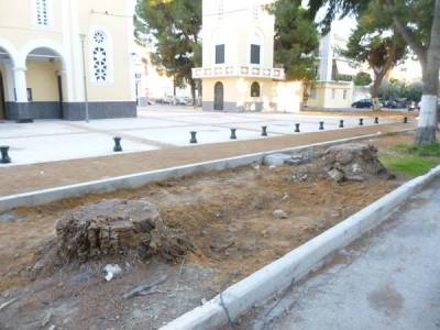 Απάντηση Νίκα για τα κομμένα πεύκα