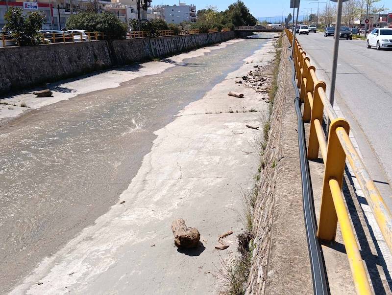 Μεγάλοι κορμοί δέντρων στον Νέδοντα