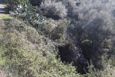 Σύμφωνα με τον Στάθη Αναστασόπουλο: Δεν υπάρχουν λεφτά για καθαρισμό ρεμάτων (βίντεο)