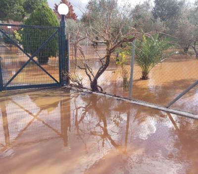 Περιφερειακό Συμβούλιο: Ερώτηση Μάκαρη για τις καταστροφές από πλημμύρες