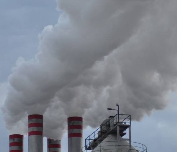 Αύριο τα αποτελέσματα για τα πυρηνελαιουργεία