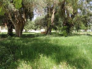 Παραχώρηση χώρου για αστικό κέντρο υγείας