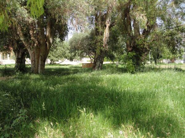 Παραχώρηση χώρου για αστικό κέντρο υγείας