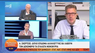 Σκέρτσος για ΔΕΗ: Το Δημόσιο παραμένει ο κυρίαρχος μέτοχος και αυτός που θα καθορίζει τη στρατηγική της (Βίντεο)