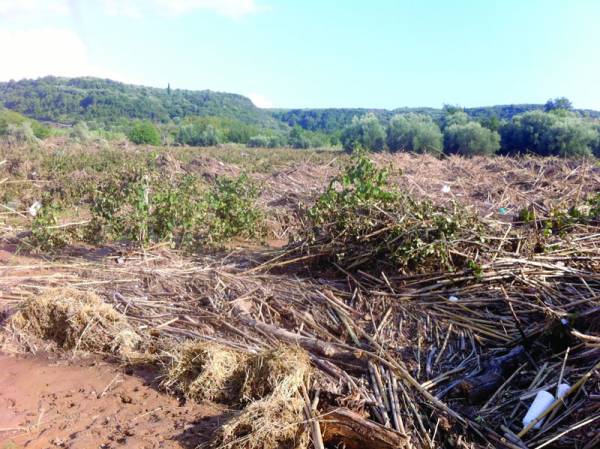 Ζημιές σε αμπέλια και σταφίδες