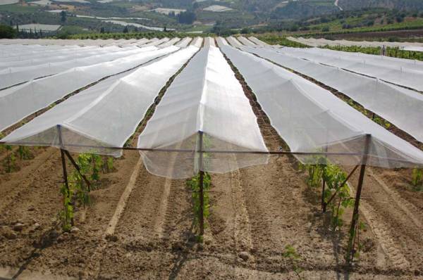 ΕΛΓΑ: Αποζημιώσεις για αντιχαλαζικά δίκτυα και αντιβρόχινες μεμβράνες και στην Πελόπόννησο