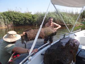 Καθαρισμοί στην προστατευόμενη περιοχή του Πάρνωνα από το προσωπικό του φορέα διαχείρισης (βίντεο και φωτογραφίες)