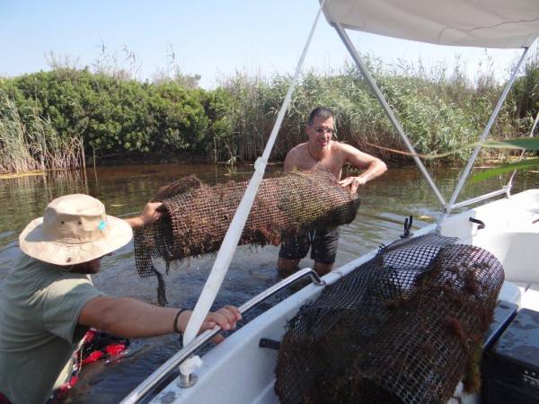 Καθαρισμοί στην προστατευόμενη περιοχή του Πάρνωνα από το προσωπικό του φορέα διαχείρισης (βίντεο και φωτογραφίες)