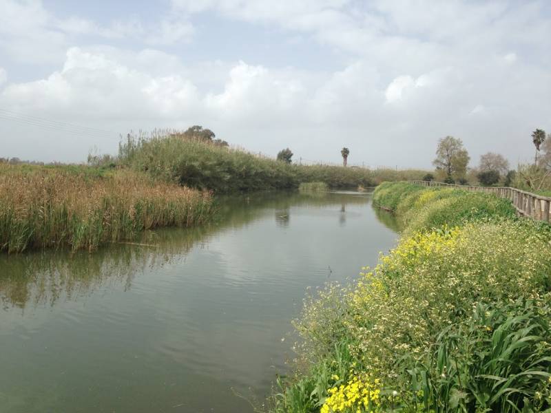 Μαξιμαλιστικοί στόχοι ή ορθολογικές επιλογές;