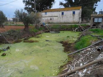 Ελλειψη νερού στις καλλιέργειες του Μπουρνιά