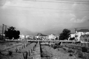 Ο Νέδοντας το 1966