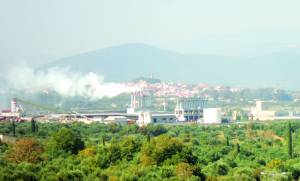 Εισαγγελική έρευνα για τα πυρηνελαιουργεία