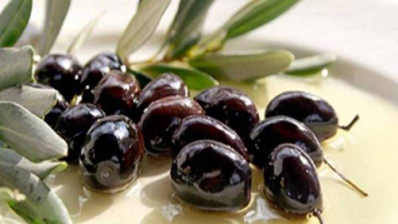 Απόφαση άμεσα για προστασία ελιάς Καλαμάτας