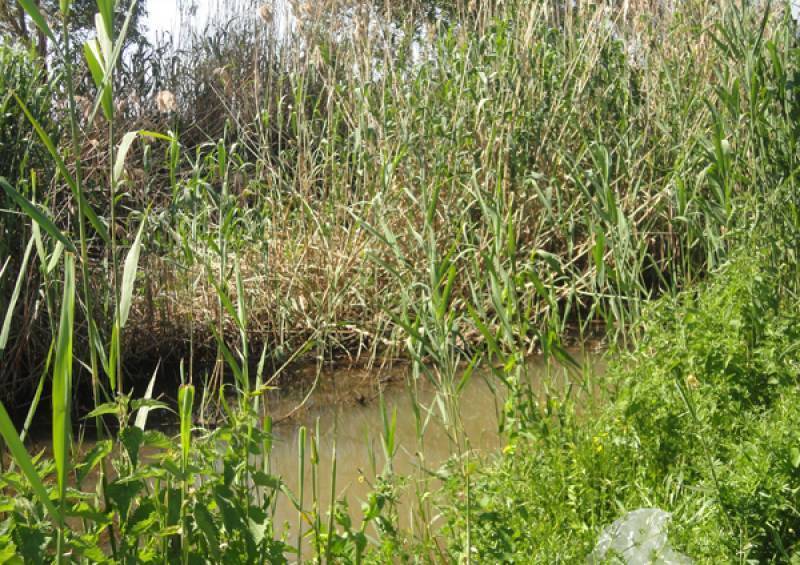 Καθαρισμός του ρέματος Λιγδού