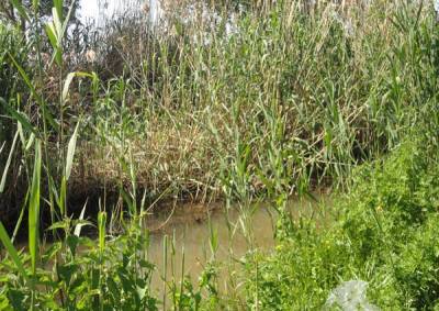 Καθαρισμός του ρέματος Λιγδού