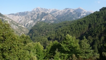 22χρονος Αλβανός νεκρός σε τροχαίο στον Ταΰγετο