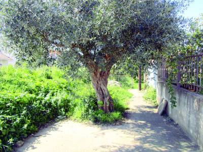 Προσεχώς ποδηλατόδρομος