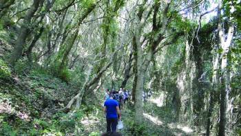 Πολιτιστικός Σύλλογος Βάλτας: Απολαυστικός περίπατος στο μονοπάτι της Ευαγγελίστριας