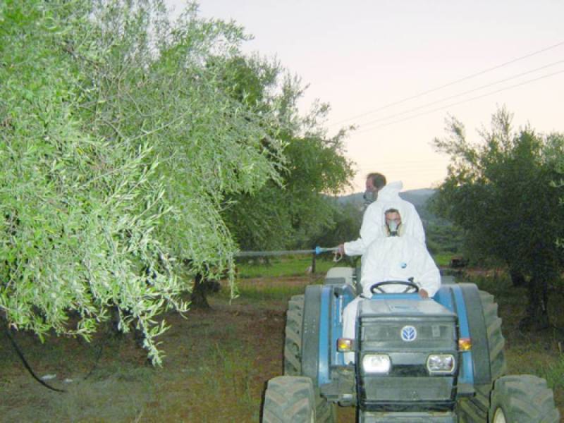 Δημητρούλια για δακοκτονία στη Μεσσηνία