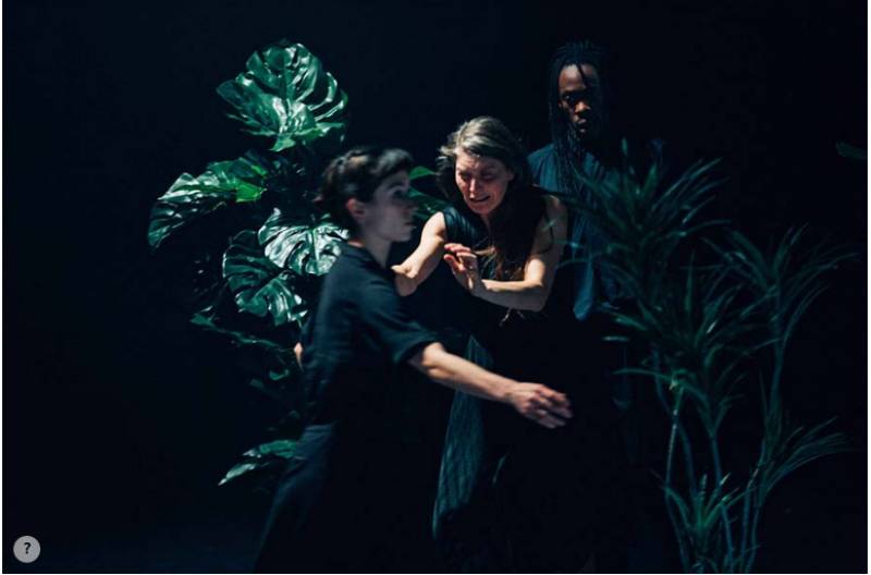 Νέες παραστάσεις, προβολές και έκθεση φωτογραφίας σήμερα το 25ο Διεθνές Φεστιβάλ Χορού Καλαμάτας