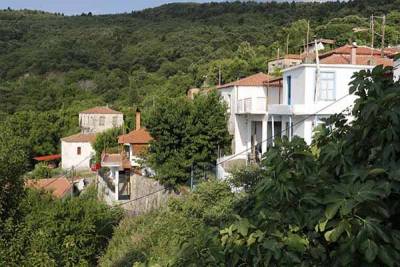 Εκπαιδευτικά προγράμματα για μαθητές στη Βαμβακού Λακωνίας