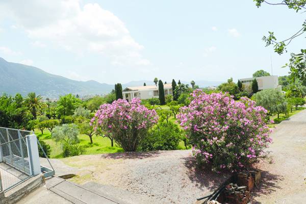 Τον νέο χρόνο στην Καλαμάτα η “Κιβωτός του Κόσμου”