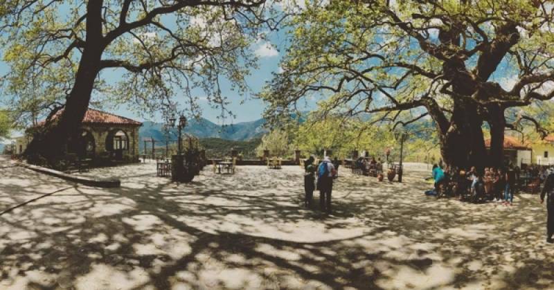 Γιορτή Κάστανου στην Αρνα Λακωνίας