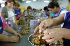 Απόρριψη προσφυγής της Συκικής για αναγνώριση Ομάδας Παραγωγών