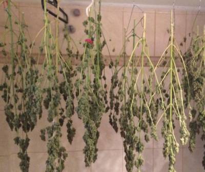 Αποξήρανση χασίς σε ντουλάπα στη Μεσσήνη