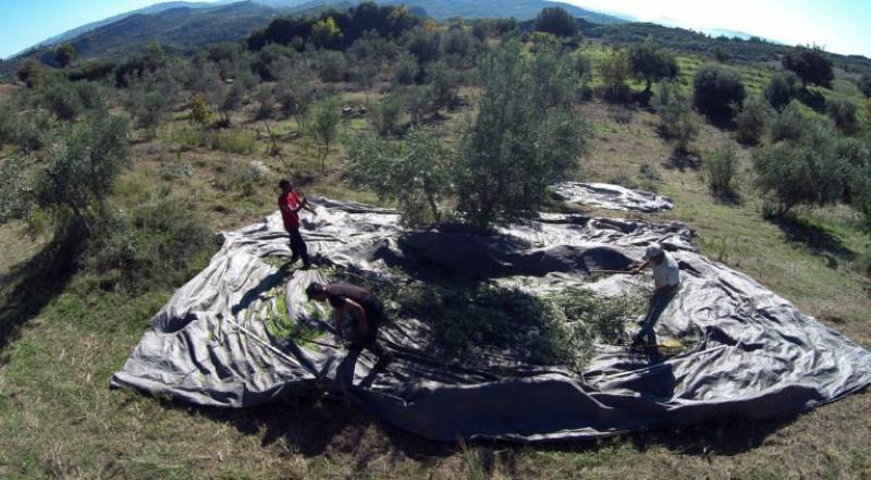 Ερώτηση Λαμπρόπουλου για εργόσημα