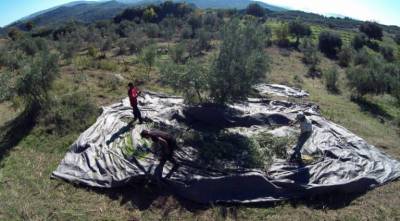 Ερώτηση Λαμπρόπουλου για εργόσημα