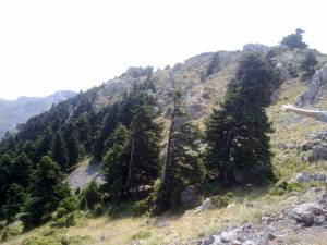 Εθελοντικός καθαρισμός από τους "Φίλους του Ταϋγέτου"