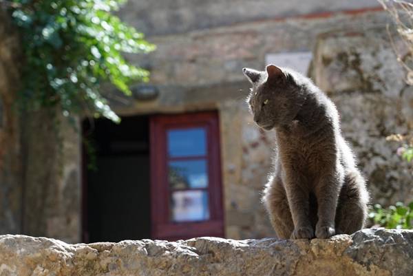 Γιατί η Πελοπόννησος δεν έχει τουρισμό;