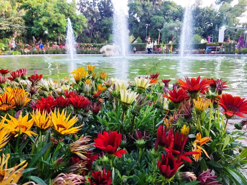 Σε εξέλιξη η 12η Ανθοκομική του Δήμου Καλαμάτας